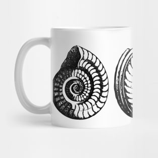 Math Spiral Shells Mug